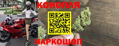 стаф Заводоуковск