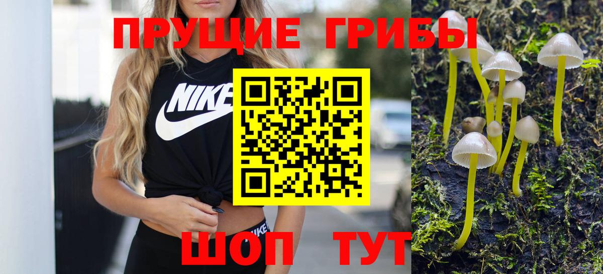где купить наркоту  Псилоцибиновые грибы GOLDEN TEACHER  Вход с VPN  Лысьва 