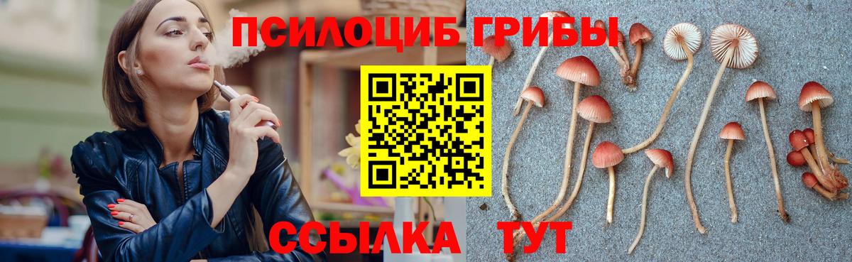 Псилоцибиновые грибы Psilocybine cubensis Лысьва